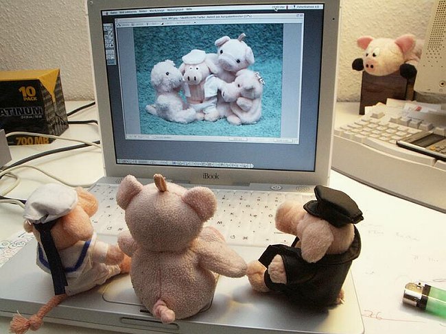 pigbook001