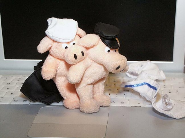 pigbook005